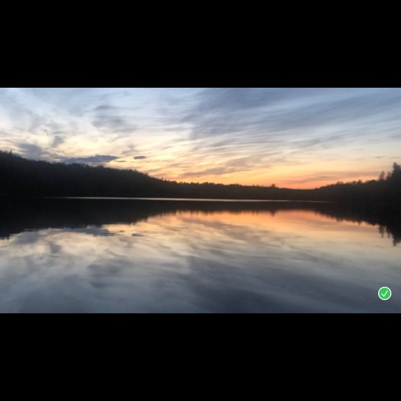 Meet your Posher, Nonnie - Picture 1 of 1